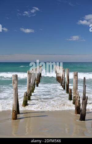 Vecchi pali sulla spiaggia di St Clair a Dunedin Foto Stock