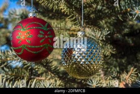 Due colorati ornamenti di Natale appesi sui rami di An pineta all'aperto con spazio per la copia Foto Stock