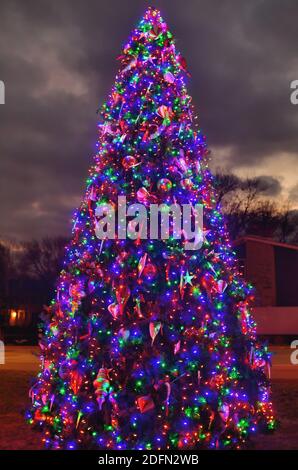 Bartlett, Illinois, Stati Uniti. Un grande albero di Natale della comunità decorato con più stringhe di luci per la stagione delle vacanze. Foto Stock