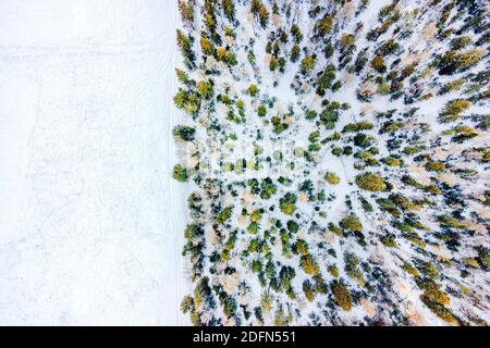 Immagine aerea dalla cima di pini di montagna innevati nel mezzo dell'inverno. Vista dall'alto, vista aerea, spazio vuoto per il design e il testo Foto Stock