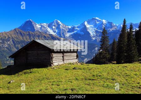 Valle di Lauterbrunnen, Eiger, 3970 m, Moench, 4107 m, e Jungfrau, 4158 m, vista da Sulwald, Oberland Bernese, Svizzera Foto Stock