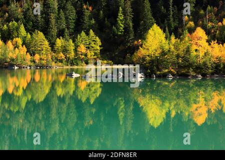 Lac de Derborence, Vallese, Svizzera Foto Stock