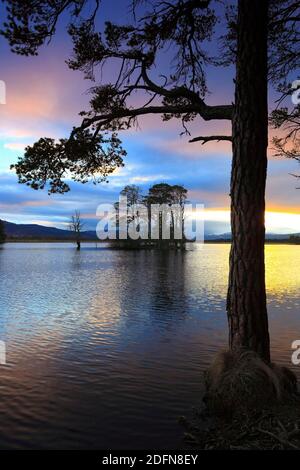 Loch Mallachie, Cairngorms National Park, Scozia, Regno Unito Foto Stock