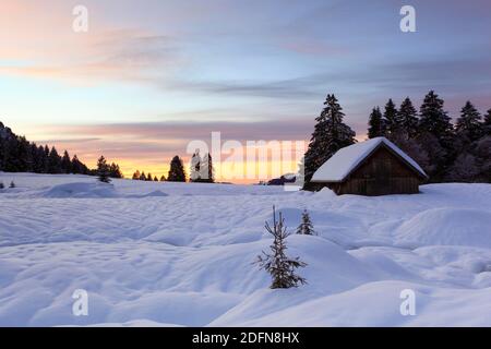 Capanna, Alpstein area Alpstein massiccio, Appenzell, Svizzera, Foto Stock