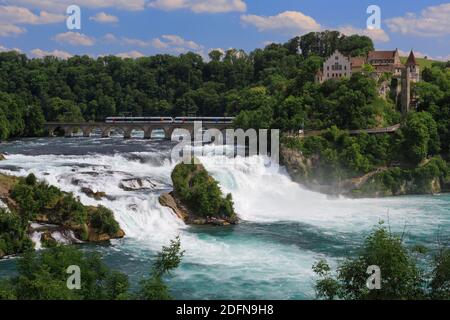 Cascate del Reno, Schloss Laufen, Schaffhausen, Svizzera Foto Stock