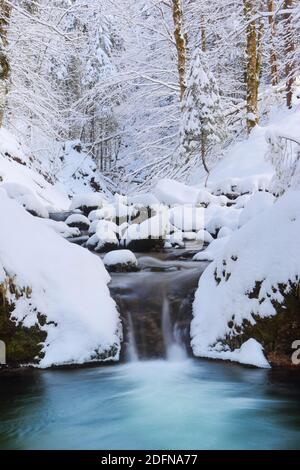 Fiume Urnaesch, Urnaesch, Appenzell, Svizzera Foto Stock