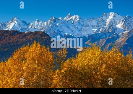 Mont Dolent, 3820m, Aguille d'Argentiere, 3901m, Aguille Verte, 4122m, vista da Verbier, Francia Foto Stock