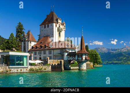 Castello di Oberhofen, Thun, Lago di Thun, Svizzera Foto Stock