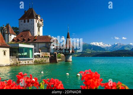 Castello di Oberhofen, Thun, Lago di Thun, Svizzera Foto Stock
