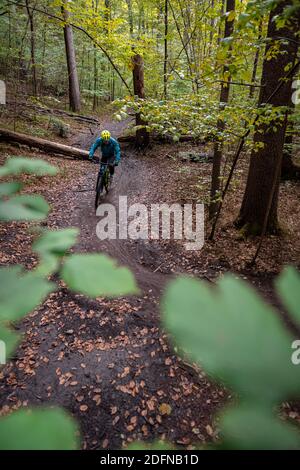 Isartrail, mountain bike trail nella foresta, mountain bike su un sentiero stretto, Isarauen, Monaco di Baviera, alta Baviera, Baviera, Germania Foto Stock