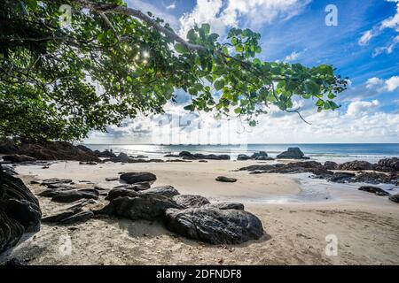 Affioramenti rocciosi presso la spiaggia appartata della foresta pluviale circondata da Etty Bay vicino a Innisfail, North Queensland, Australia Foto Stock