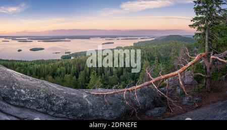 Paesaggio panoramico con il lago e il tramonto in serata in Koli, parco nazionale, Finlandia Foto Stock