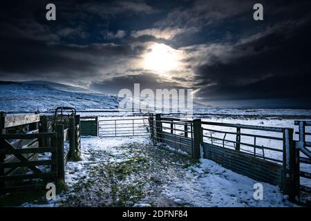 Farm Gates nella neve, Yorkshire Dales Foto Stock