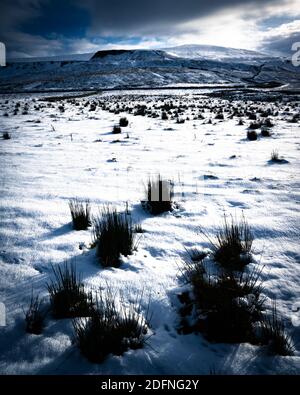 Campo innevato nelle valli dello Yorkshire, Langstrothdale Foto Stock