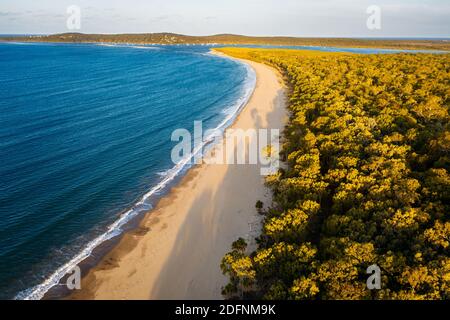 Vista aerea sulla bellissima spiaggia di Bustard nel Parco Nazionale di Eurimbula. Foto Stock