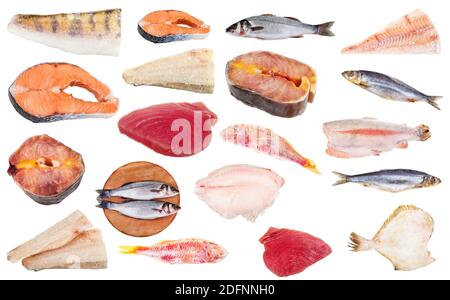 serie di pesci grezzi congelati (merluzzo, salmone, zander, luccio-persico, storione, tonno, seabass, trota, triglia rossa, aringhe, rospi, pesci piatti, ecc.) isolati su w. Foto Stock