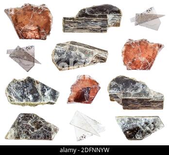Collezione di varie muscovite (Mica comune) minerali naturali isolati su sfondo bianco Foto Stock