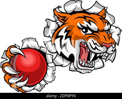 Tiger giocatore di cricket animale mascotte sportive Illustrazione Vettoriale