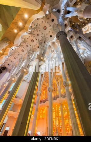L'interno della Sagrada Familia, la cattedrale progettata da Gaudi a Barcellona, Catalogna Foto Stock