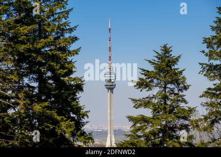 Belgrado / Serbia - 31 marzo 2019: La Torre Avala, torre di telecomunicazioni alta 204 metri nella montagna Avala di Belgrado, Serbia Foto Stock