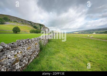 Cotterdale, Yorkshire Dales National Park, York, Inghilterra - una vista di alcuni vecchi fienili di pietra, pecore e il paesaggio ondulato delle valli dello Yorkshire. Foto Stock