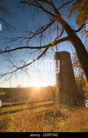 Tramonto su un campo agricolo nella Virginia rurale. Foto Stock