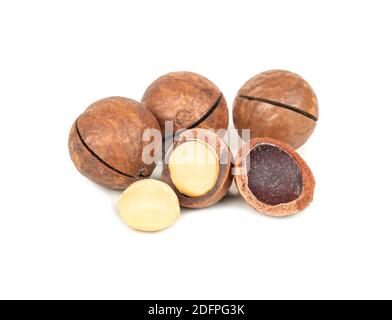 Deliziose noci di macadamia con noccioli su fondo bianco Foto Stock