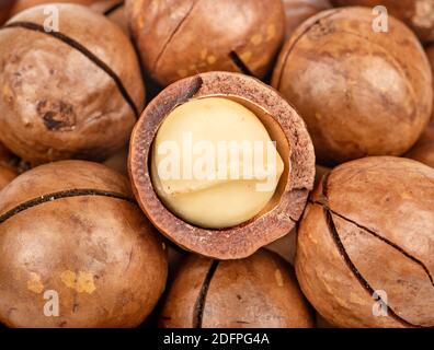 Noci di macadamia sparse con mezzo primo piano Foto Stock