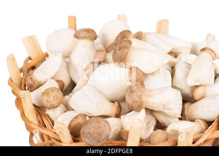 Piccoli funghi eringi in un cestino primo piano Foto Stock