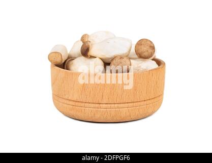 Funghi Eringi in una piccola ciotola isolata su un bianco sfondo Foto Stock