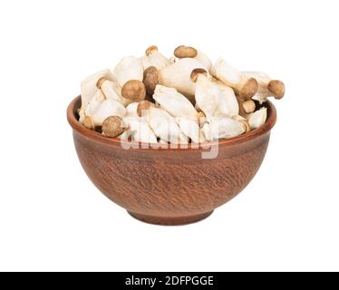 Funghi Eringi in una ciotola isolata su fondo bianco Foto Stock
