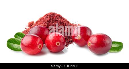 polvere secca di mirtillo rosso e mirtillo rosso fresco isolati su fondo bianco Foto Stock