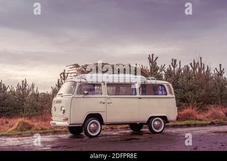 Camper d'epoca con albero di Natale appena tagliato sul tetto. Foto Stock