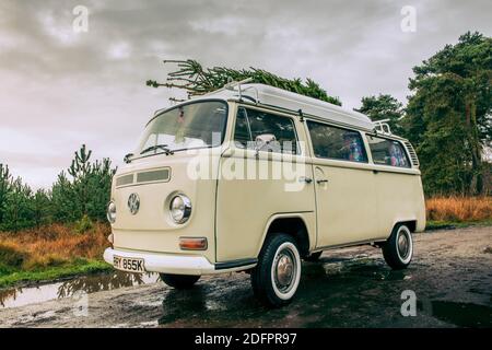 Camper d'epoca con albero di Natale appena tagliato sul tetto. Foto Stock