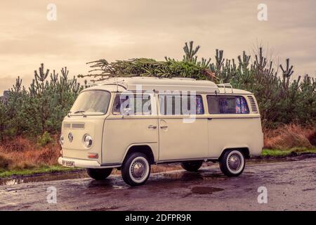 Camper d'epoca con albero di Natale appena tagliato sul tetto. Foto Stock