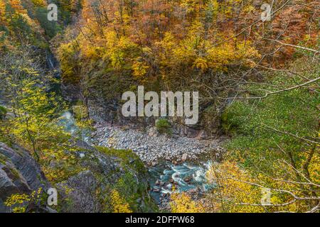 Fiume Belaya in fondo a una gola profonda, canyon, nella Repubblica di Adygea in Russia Foto Stock