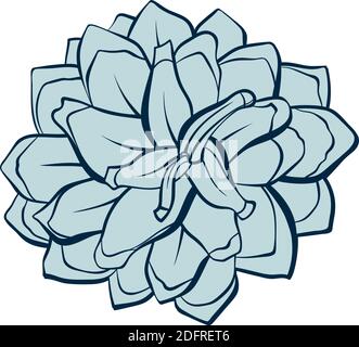 Set coni di abete, spruces di pinecone, elemento decorativo vettoriale per motivi e sfondi. Cono fuoco o pinecone design isolato, moderno arredamento di Natale color verde pastello alla moda Illustrazione Vettoriale