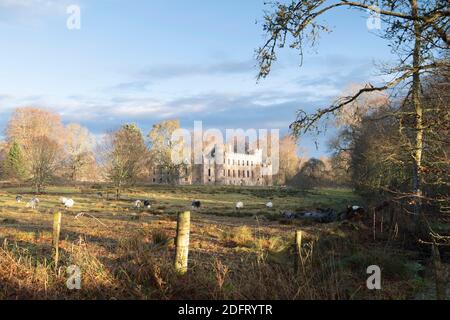 Un ambiente bucolico con pascolo di pecore di fronte alle rovine del Palazzo Vescovile a Fetternear, vicino Kemnay in Aberdeenshire Foto Stock