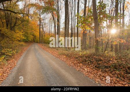 Scenografica strada di campagna si snoda lungo Bull Run Mountain nel Piemonte Virginia. Foto Stock