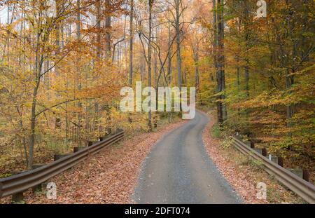 Scenografica strada di campagna si snoda lungo Bull Run Mountain nel Piemonte Virginia. Foto Stock