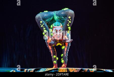 Gli artisti del Cirque Du Soleil si esibiscono sul palco durante la presentazione in Francia del loro nuovo spettacolo Totem a Bagatelle nel Bois de Boulogne a Parigi, Francia, il 24 ottobre 2018. Foto di Christophe Geyres/ABACAPRESS.COM Foto Stock