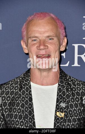 Flea partecipa alla prima di Focus Features' 'Boy cancellato' alla Directors Guild of America il 29 ottobre 2018 a Los Angeles, CA, USA. Foto di Lionel Hahn/ABACAPRESS.COM Foto Stock