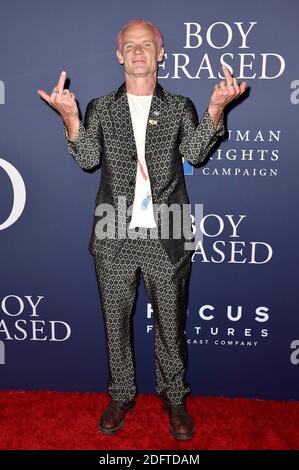 Flea partecipa alla prima di Focus Features' 'Boy cancellato' alla Directors Guild of America il 29 ottobre 2018 a Los Angeles, CA, USA. Foto di Lionel Hahn/ABACAPRESS.COM Foto Stock