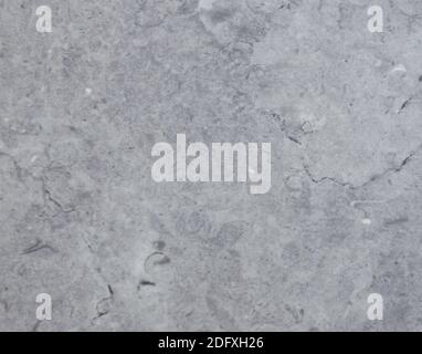Marmo grigio chiaro, superficie piana lucida in pietra naturale da vicino. Sfondo, texture. Foto Stock