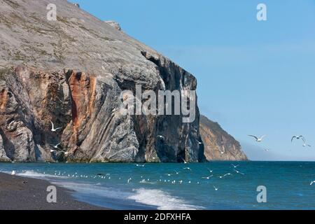 Scogliera rocciosa e la spiaggia, Capo Dezhnev, la maggior parte orientale dell Eurasia, Estremo Oriente Russo Foto Stock