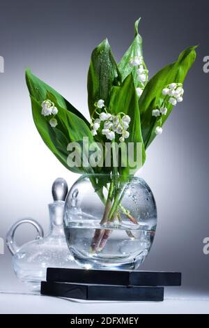 Il giglio della valle nel vaso di vetro Foto Stock