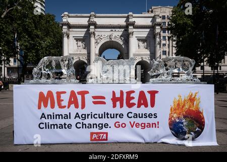 PETA Heatwave protesta. Gli attivisti per i diritti degli animali PETA collocano un trio di sculture di ghiaccio animale, tra cui una mucca, maiale e pollo per sciogliersi lentamente, Londra Foto Stock
