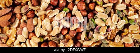 Panorama NUTS. Un mix di arachidi, nocciole, noci, pistacchi e mandorle, sparati dall'alto Foto Stock