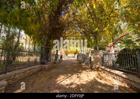 gerusalemme, israele. 02-12-2020. Una passeggiata circondata da alberi caduti, all'interno del giardino campanaria Foto Stock