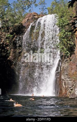 I nuotatori potranno godersi la piscina di roccia sotto le Cascate di Firenze, il Litchfield NP, il territorio del Nord Foto Stock